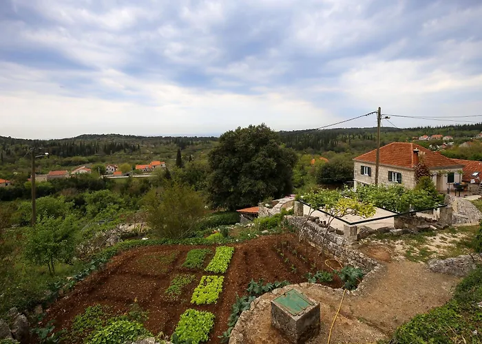 Country House Bakicevo